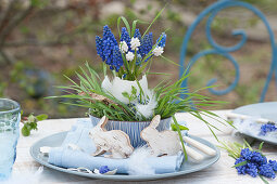 A small bouquet of grape hyacinths in a goose egg as a vase
