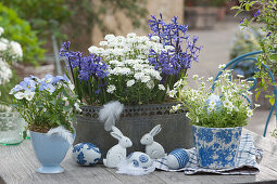 Blau-weiße Osterdekoration mit Hyazinthen, Schleifenblume, Hornveilchen und Moossteinbrech