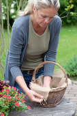 Frau legt Korb zum Bepflanzen mit Jute aus