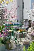 Small seating area on the Easter terrace with spring flowers