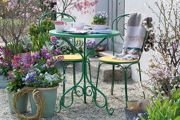 Kleine Sitzgruppe auf Terrasse mit Frühlingsblumen