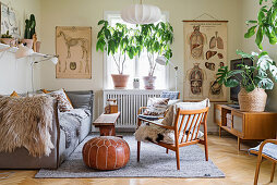 Pale grey sofa, leather pouffe, houseplants and anatomical illustrations in living room