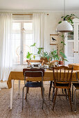 Esstisch mit verschiedenen Stühlen, im Hintergrund Zimmerpflanze vor Fenster