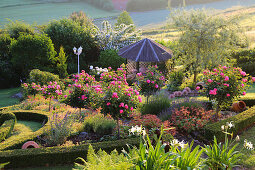 Garden on slope with summerhouse, standard roses and box hedges