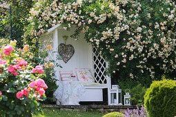 Rose arbour in sloping garden