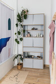 Houseplants in cosily decorated bathroom