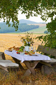 Set wooden table with benches below lime tree with bare fields in background