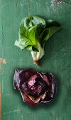 Radicchio Cicorino Verde und Rosso