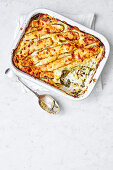 Spinat-Zucchini-Lasagne