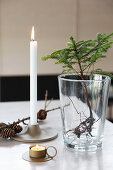 Arrangement of larch sapling in glass, candle and larch cones on table