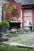 Flowers, plants and vintage accessories in courtyard outside red barn door