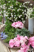 Hydrangeas, lavender, elderberries and forget-me-nots