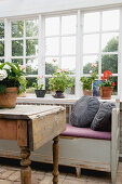 Wooden table and old bench on the lattice window with geraniums on the windowsill