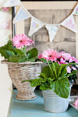 Pink gerbera daisies in metal bucket and basket in front of bunting