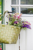 Bouquet of lupins in shopping basket hung from garden door handle