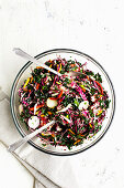 Kale salad with radicchio, radishes, carrots and pepper