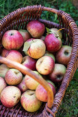 Frische Äpfel im Korb