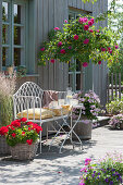 Terrace with stem rose 'Heidi Klum', geraniums and riding grass