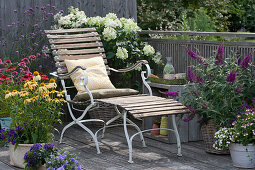 Balkon mit Sonnenhut Conetto 'Banana' 'Raspberry' 'Butterfly Kisses', Strauchhortensie, Eisenkraut, Sommerflieder, Liegestuhl