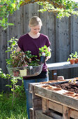 Self-made raised bed from pallets