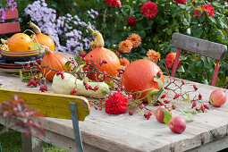 Herbstliche Tischdeko mit Kürbissen, Äpfeln, Hagebutten und Dahlienblüte