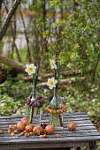 Narzissen in Wasserflaschen mit Zwiebelkränzchen auf Gartentisch