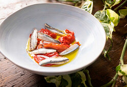 Anchovies in Vinegar and Roasted Peppers