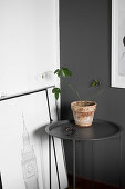 Houseplant on charcoal-grey side table