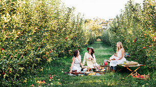 Drei Frauen beim Picknick im Obstgarten