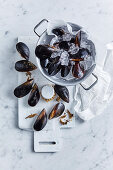 Mussels