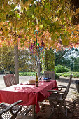 Tisch mit roter Tischdecke und Holzstühlen unter Baum mit Herbstlaub