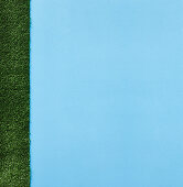 A light-blue background with artificial grass
