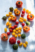 Frisch geerntete Tomatensorten