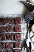 Chocolate biscuit squares