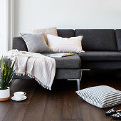 Cushions, teacup and snake plant on floor next to sofa with blanket