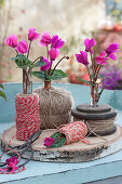 Small bouquets of cyclamen, unusually decorated with spools of thread and string