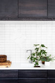 Weiße Nische in schwarzer Küchenzeile mit natürlicher Deko
