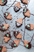 Mint chocolate leaves