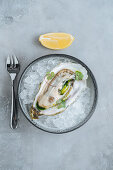 Lemon on oysters on Ice cube on a bowl in a white background