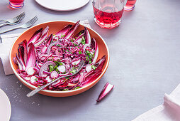 Purple salad with red cabbage, radichio, radish, red onion with mustard dressing and parsley (vegan, vegeterian)
