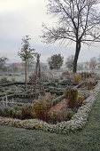 Cottage garden in late autumn with hoarfrost, box hedges as a border