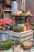 Autumnal arrangement of chrysanthemums, teaberry, candle lanterns and basket of walnuts