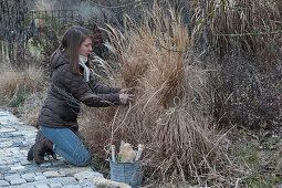 Woman ties grasses together as winter protection