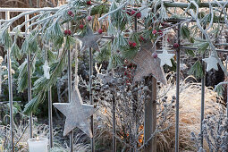 Christmas decoration on the garden fence with pine, rose hips and wooden stars