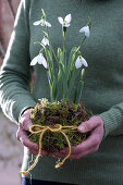 Woman holds snowdrops in moss