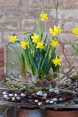 Daffodil 'Tete a Tete' and grape hyacinth 'Blue Pearl' in a wreath of twigs and grasses, with cones and feathers