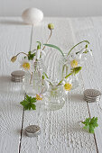 Snowdrops, anemones and grape hyacinths in salt cellars