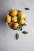 Zitronen in einem Sieb