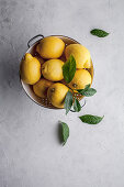 Lemons in a bowl