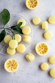 Lemon macarons